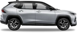 Glittering Silver 2 Tone