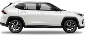 Ivory White
